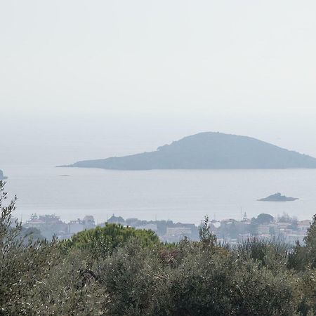 Armamento Villa Moni Evaggelistrias Luaran gambar